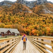 Otoño mágico: cinco estados imperdibles de Estados Unidos