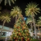 Miami brilla en Navidad: encendido de árboles y fiesta inolvidable