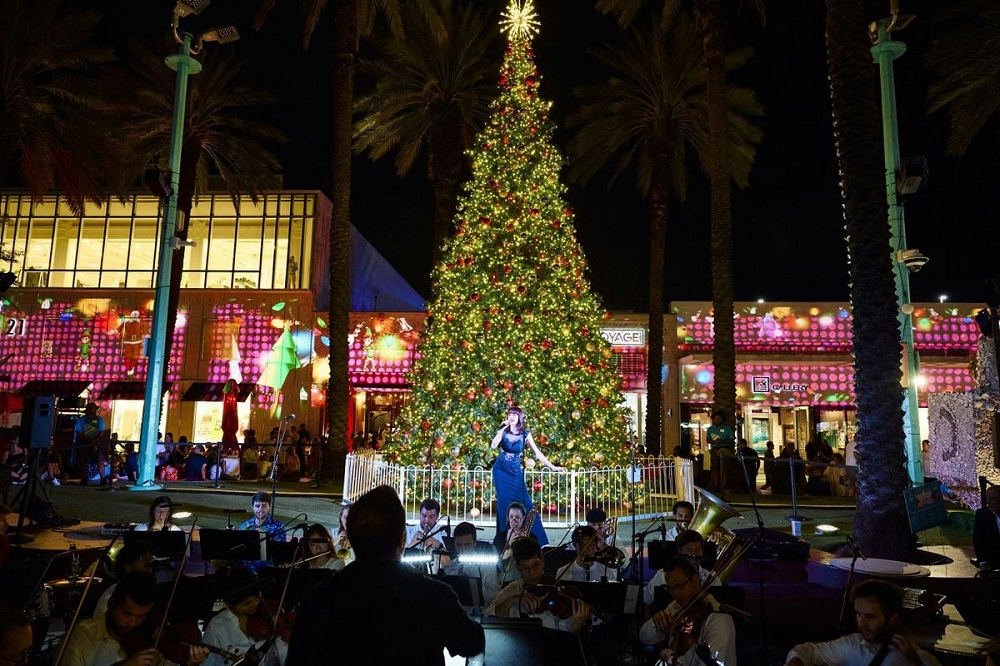 Eventos antes, durante y después del encendido del árbol