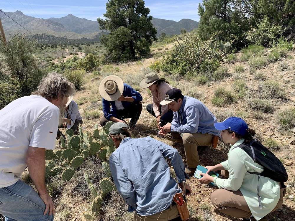 Evaluación ecológica para la conservación de plantas