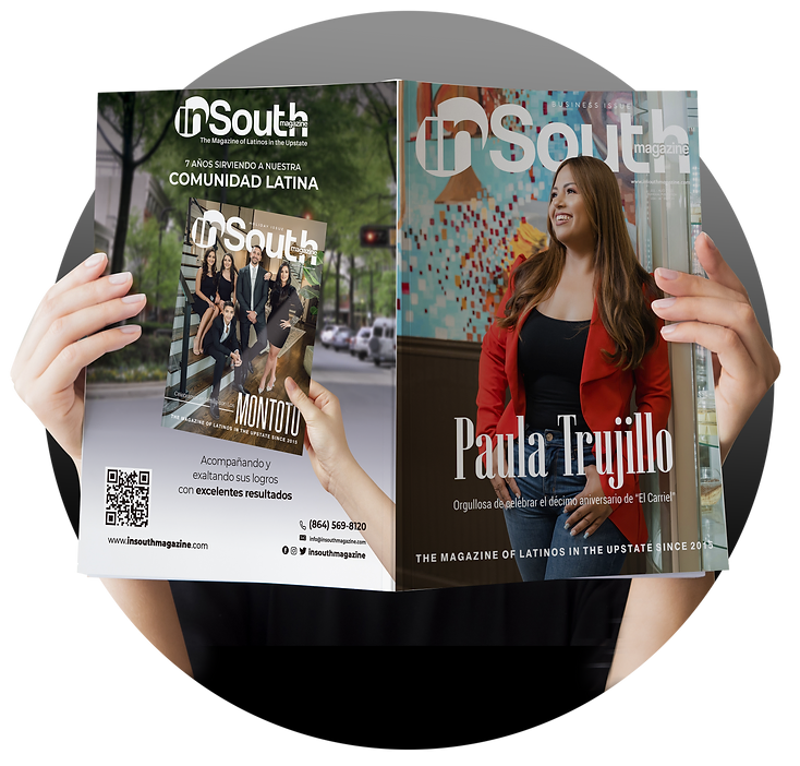 Revista Insouth Magazine