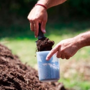 Compostaje: ciudades que lideran la lucha contra el desperdicio alimentario