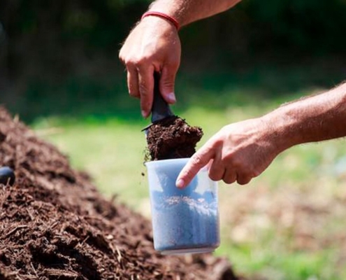 Compostaje: ciudades que lideran la lucha contra el desperdicio alimentario