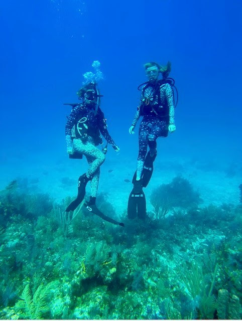 Escultura interactivas para restaurar ecosistemas marinos en Miami