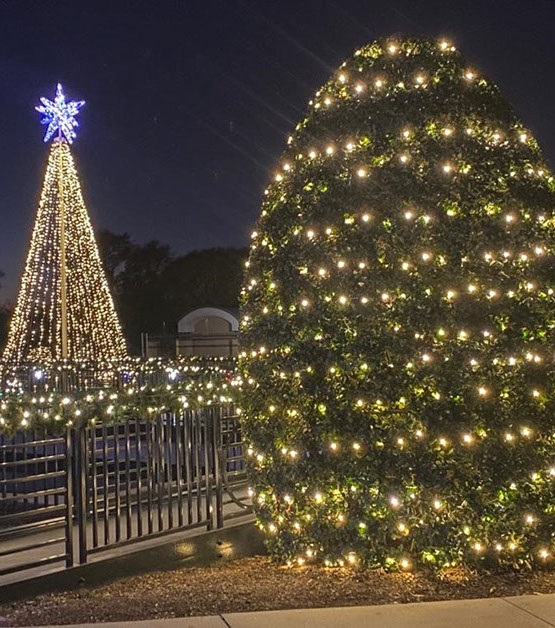 Guía para una Navidad inolvidable en Greenville