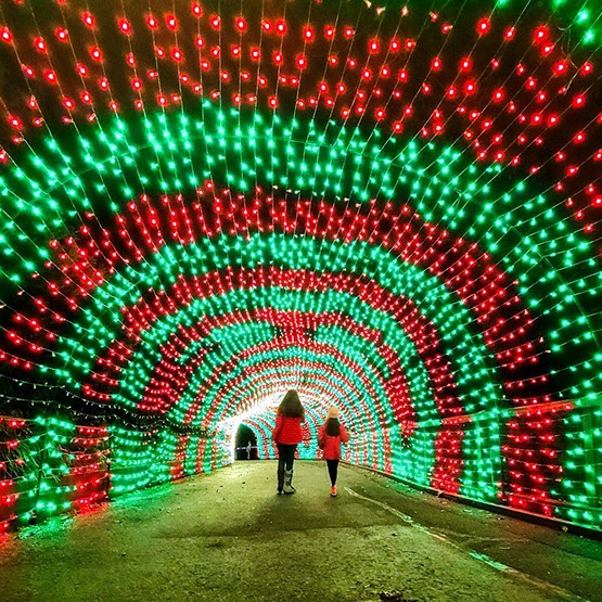 Guía para una Navidad inolvidable en Greenville