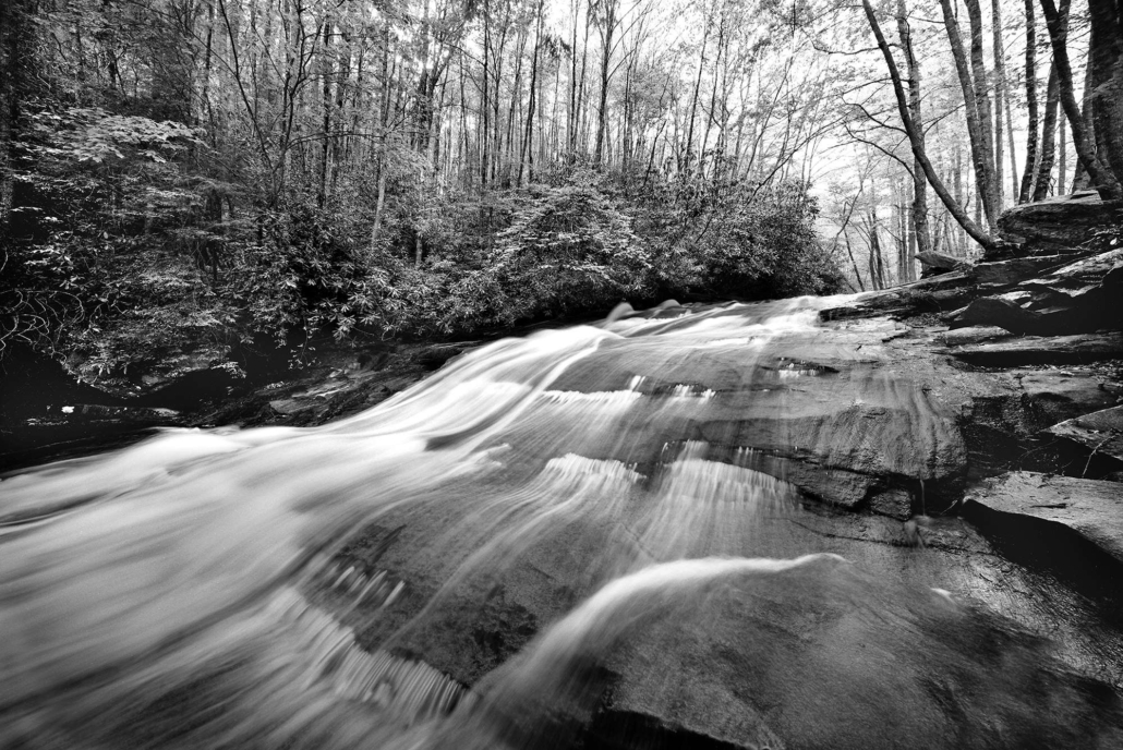 Exhibición América la bella en UHM Greenville