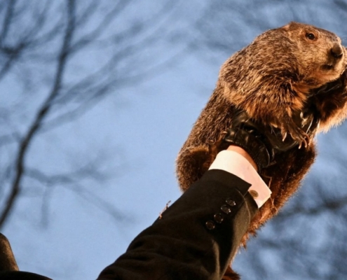 Día de la Marmota 2025: Phil revela la duración del invierno