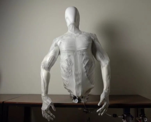 Protoclone robot humanoide