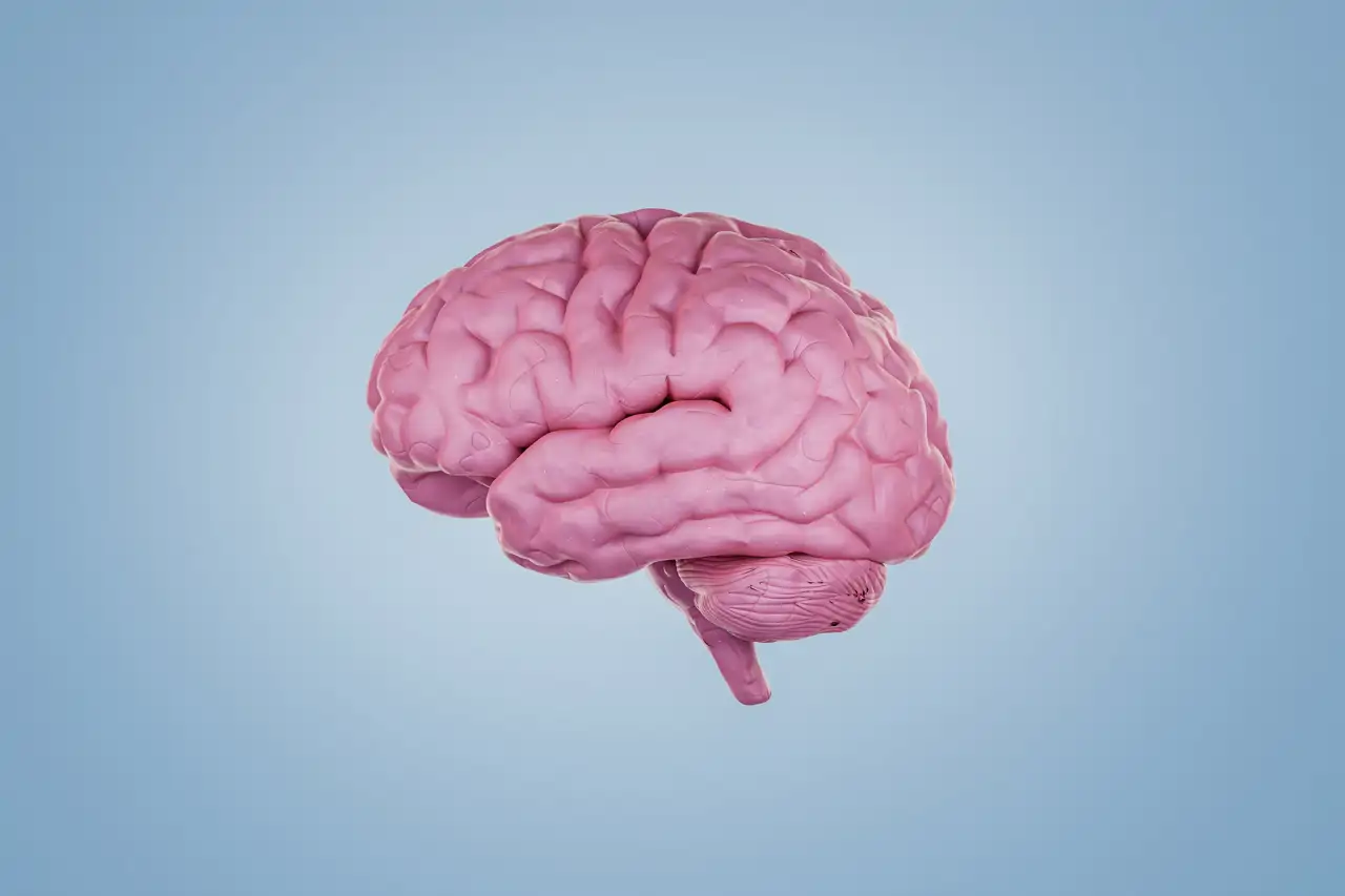 SC forma parte de los estados con más muertes juveniles por lesiones cerebrales