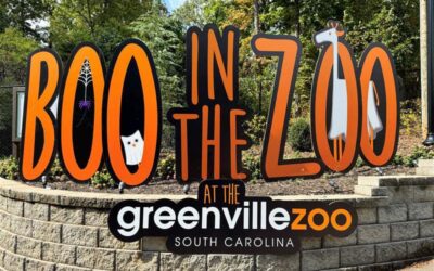 Boo in the Zoo está de vuelta en Greenville: conoce los detalles