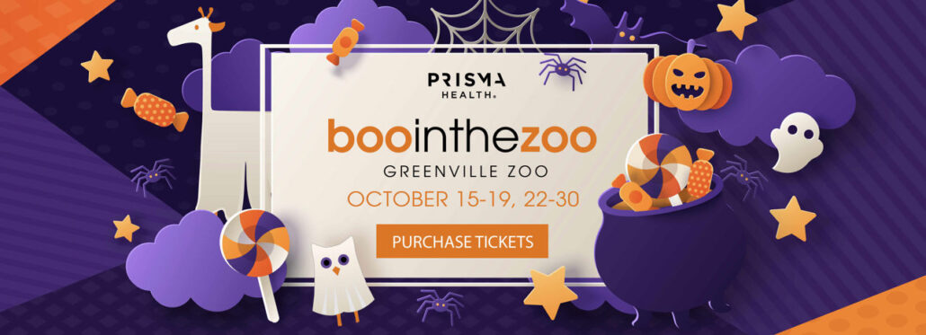 Boo in the Zoo