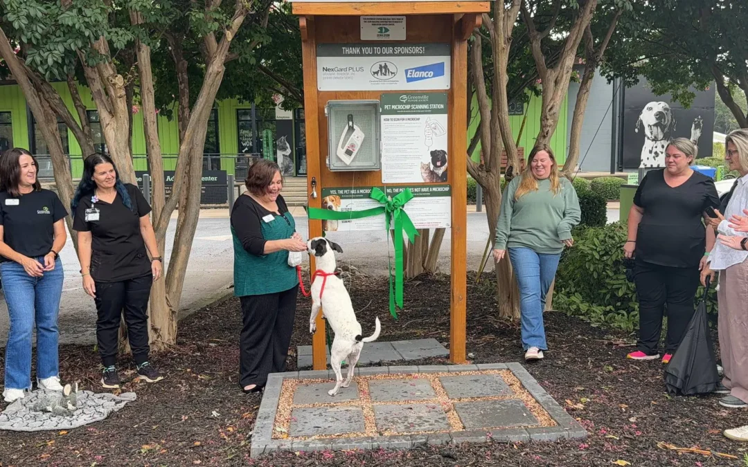 Greenville Humane Society instala escáner público de microchips para mascotas