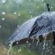 Lluvias afectan gran parte de Florida en Labor Day
