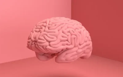 Científicos desarrollan minicerebros humanos para crear biocomputadoras
