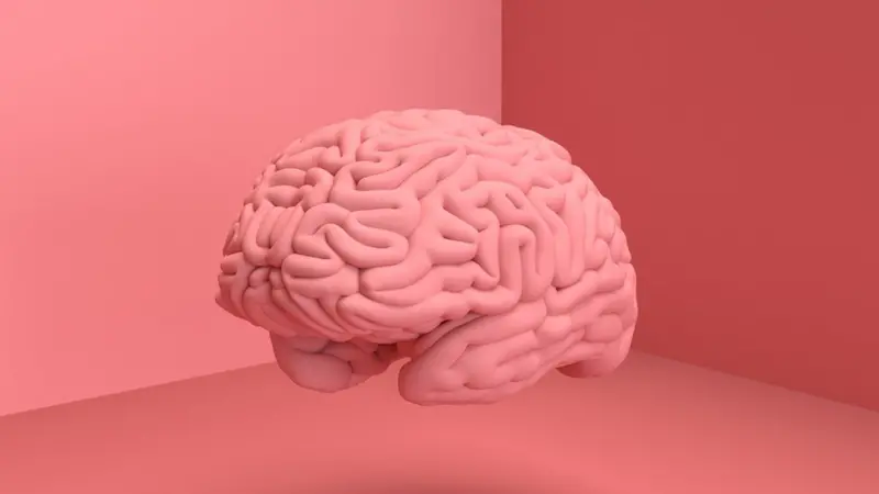Científicos desarrollan minicerebros humanos para crear biocomputadoras
