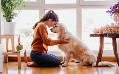Mascotas de apoyo emocional: ¿qué dice la ciencia sobre ellas?