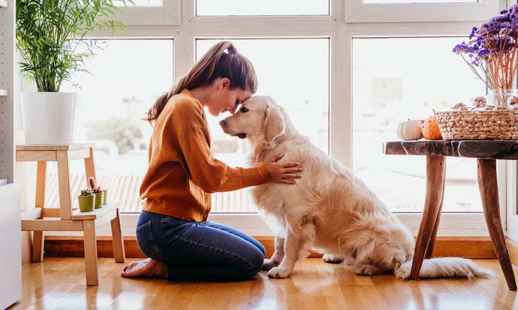 Mascotas de apoyo emocional: ¿qué dice la ciencia sobre ellas?