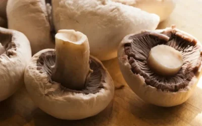 Cómo cocinar champiñones y aprovechar sus beneficios