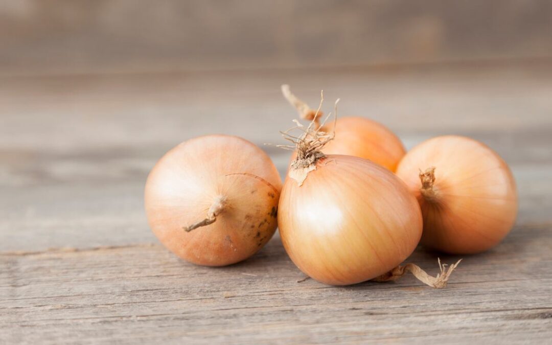 Cebolla deshidratada: conserva con sabor y textura únicos