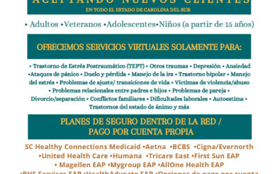 Servicios de salud mental accesibles en Carolina del Sur