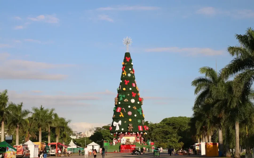 Origen histórico del árbol de Navidad y su evolución