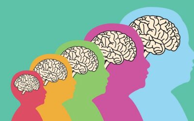 ¿Cada cuánto tiempo cambia el cerebro humano?