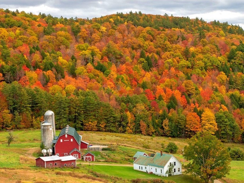 Festividades de otoño: conoce los mejores estados para disfrutar