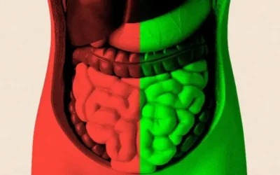 Microbioma y longevidad: ciencia detrás de una vejez activa