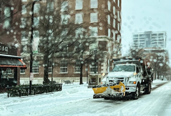 tormenta invernal Fern