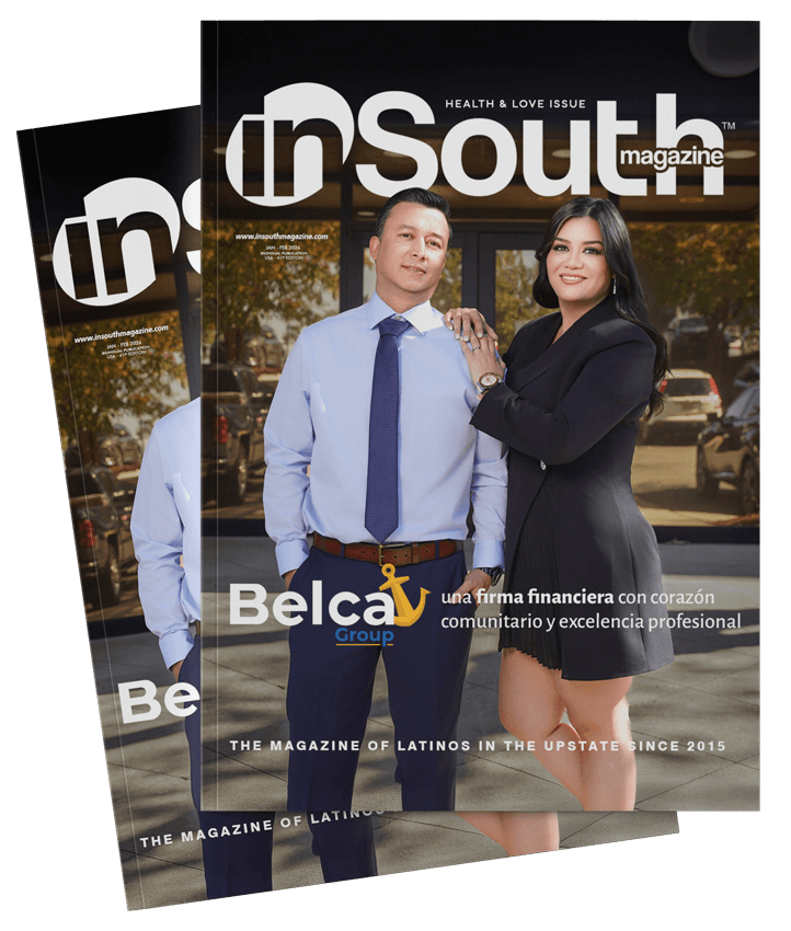 REVISTA INSOUTH