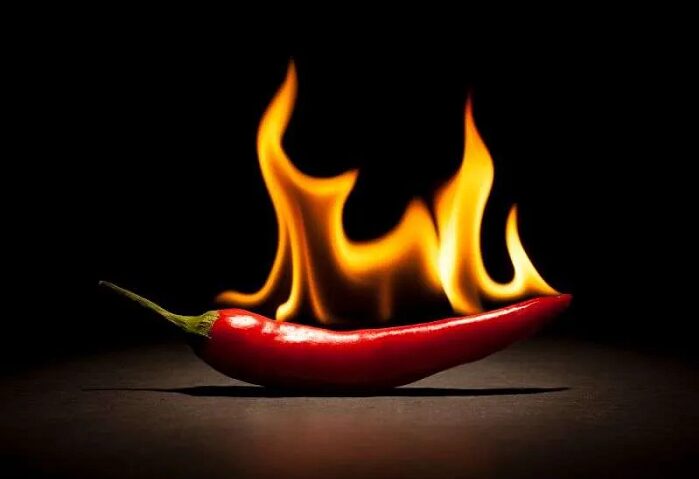 Chiles: los más picantes del mundo están en Carolina del Sur