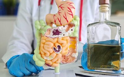 Síndrome de autofermentación: ¿cómo el intestino produce alcohol?
