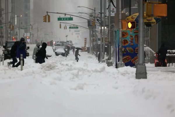 tormenta invernal Fern