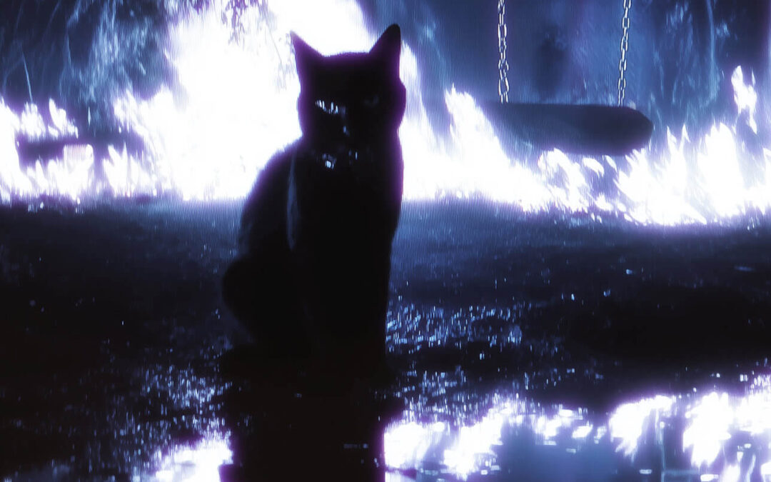 Junior H abre 2026 con su poderoso sencillo “Mi gata”