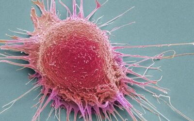 IARC asegura que algunos tipos de cáncer se pueden prevenir