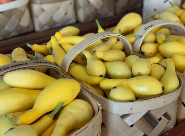 Certified SC Cafeteria 