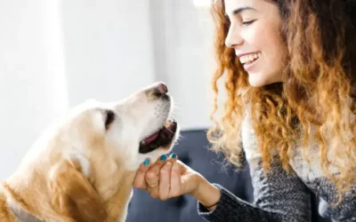 Peligrosa tendencia: dueños medican a sus mascotas con fármacos humanos