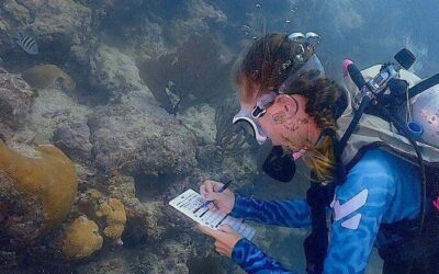 viajeros transforman y salvan los Cayos de Florida