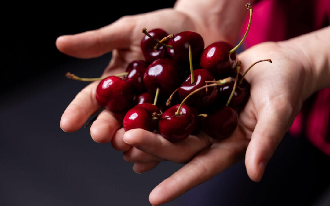 Compuestos de las cerezas frenan el cáncer de mama agresivo