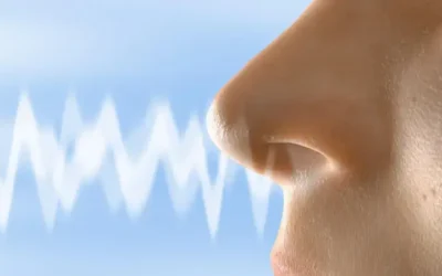Ciclo nasal: clave invisible para tu salud respiratoria