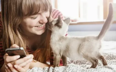 Tecnología para mascotas transforma el cuidado en casa
