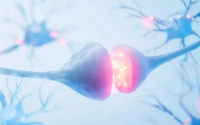 Avance revolucionario: neuronas que reparan parálisis tras lesión medular