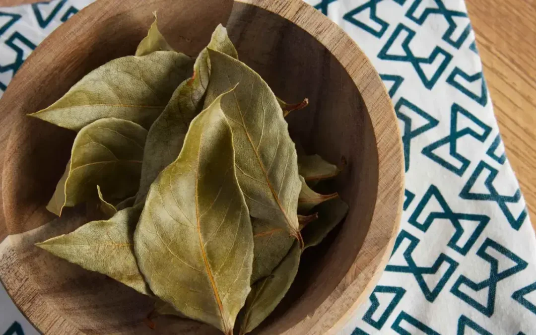 Laurel y bicarbonato: la mezcla ideal para limpiar y eliminar olores