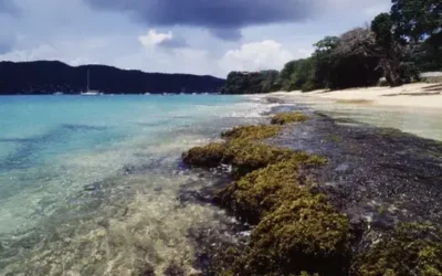 Tendencias: el Caribe lidera destinos de viaje para verano 2026