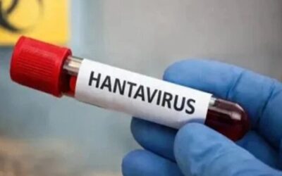 Hantavirus: ¿EE. UU. debe preocuparse?