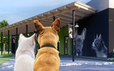 Ada, la estrella de The Greenville Humane Society que busca familia