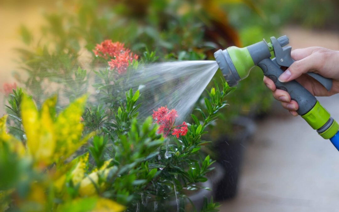 Autoridades recomiendan a SC ahorrar agua ante fuerte sequía