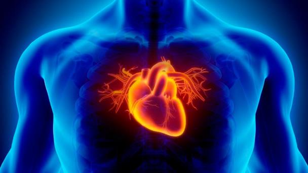 Síndrome del corazón roto, un problema que puede ser mortal