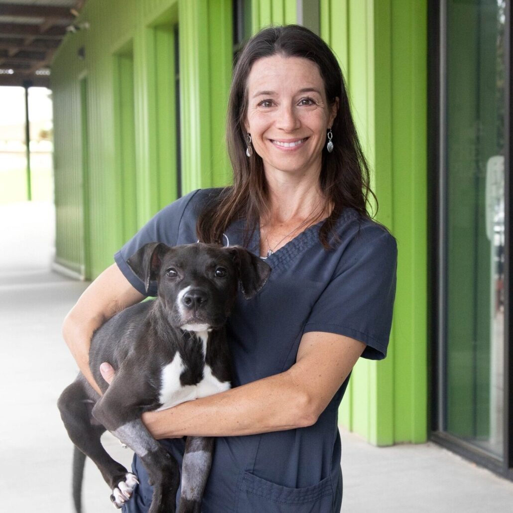 Greenville Humane Society
